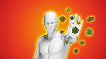 Virüslere Karşı Bağışıklık Özellikleri ve Faydaları Nelerdir?